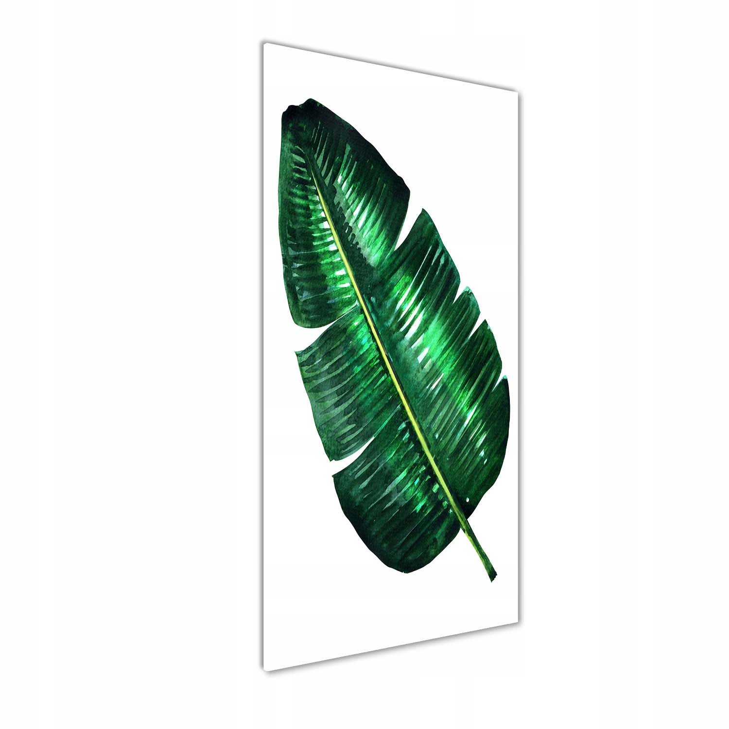 

Foto obraz akryl do salonu Liść bananowca 50x125cm