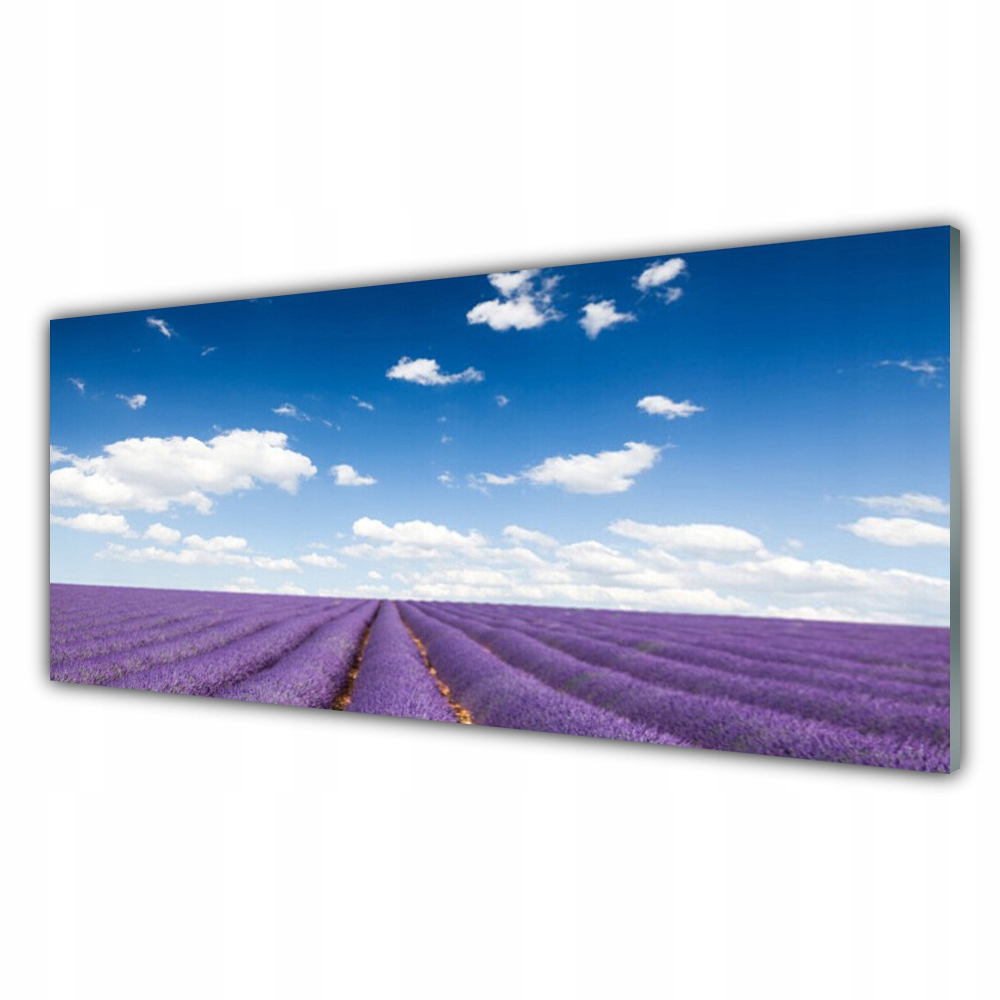 

Fotoobraz akryl 125x50 Łąka Kwiaty Natura Roślina