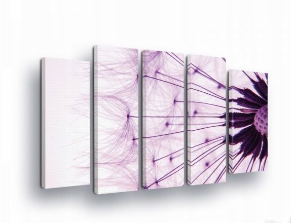 Obraz 150x100 Púpava lekárska semená ľahkosť príroda makro fialová biela