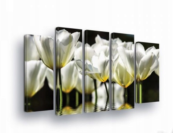 Obraz 150x100 Biele tulipány kvety dekor abstrakcia jar elegancia