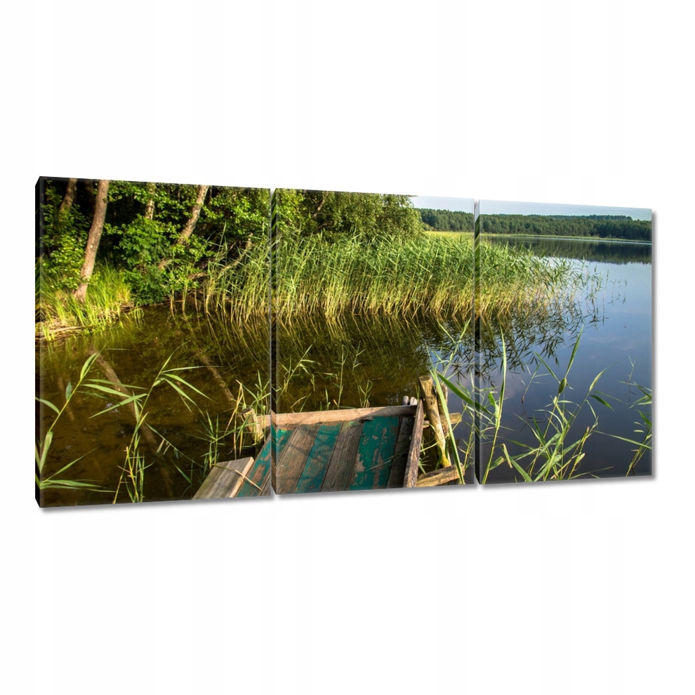 

Obrazy 120x60 Szuwary
