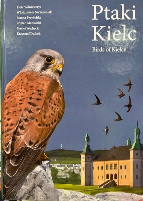 Ptaki Kielc