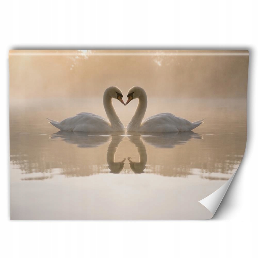 

Fototapeta Natura Salon Klej Gratis 400x266