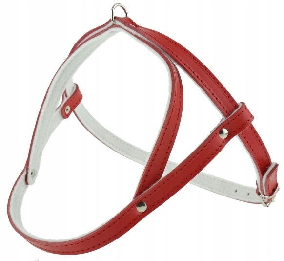 Levně Kožený postroj pro psa podšitý filcem Lícová kůže 55 cm Champion Červená