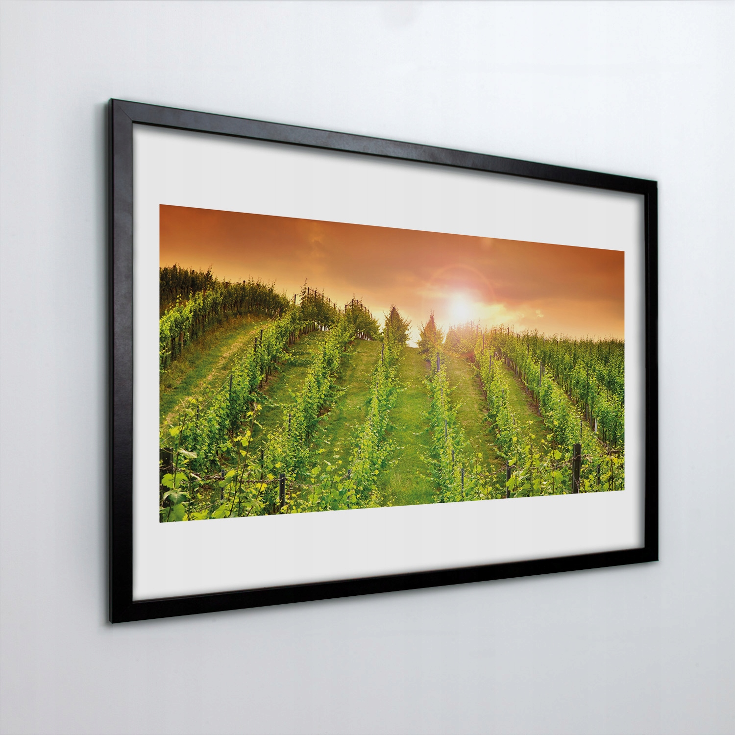 Fotoobraz na zeď Vinice západ slunce 60x40