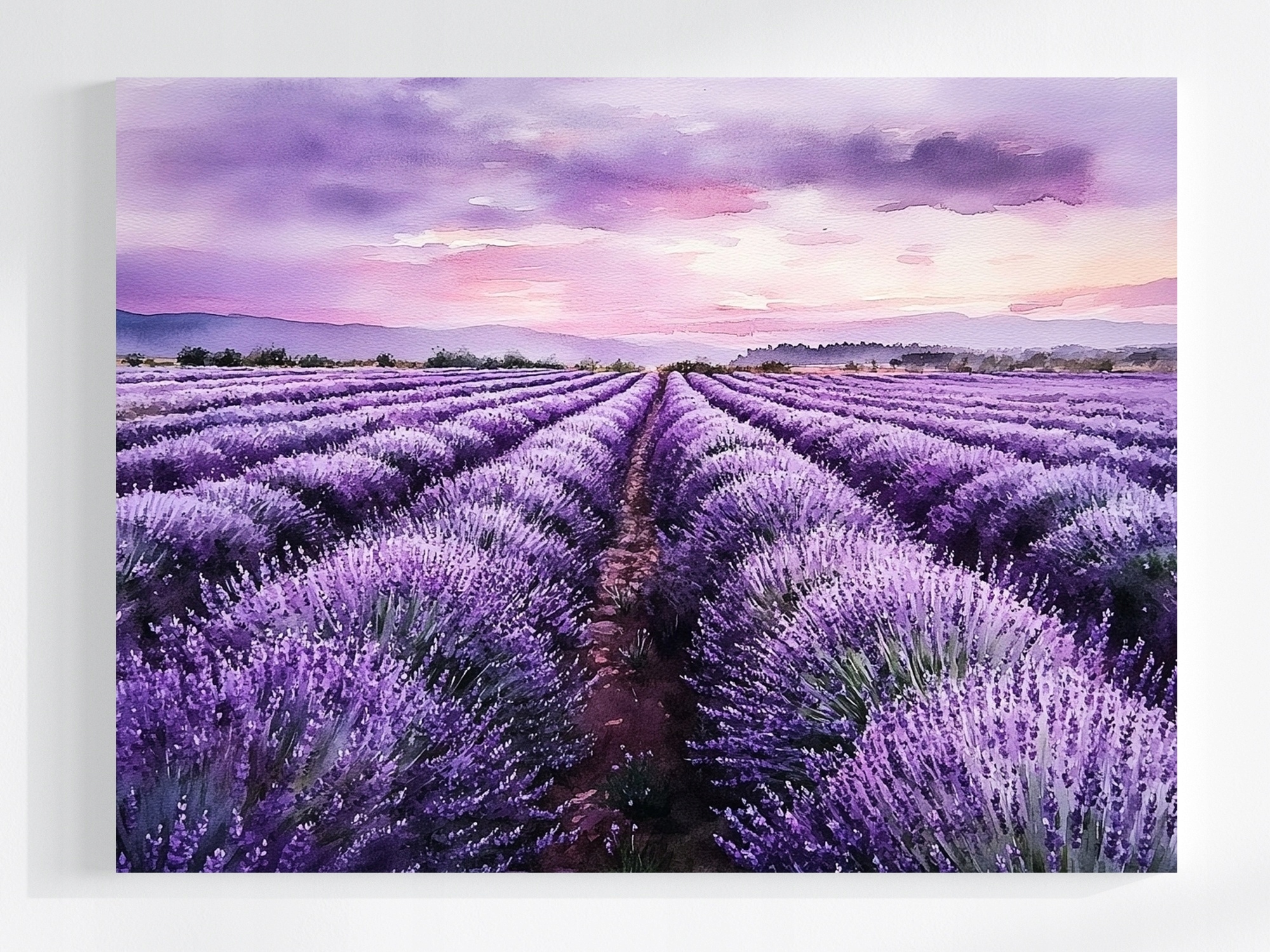 Obraz Na Plátně Canvas Krajina Pole Plantáž Květiny Levandule Fialová 100x75
