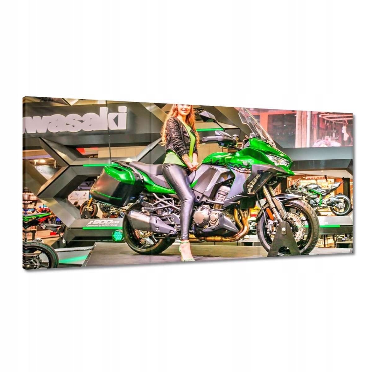 Obrazy 180x90 Palička na motocykli Motor