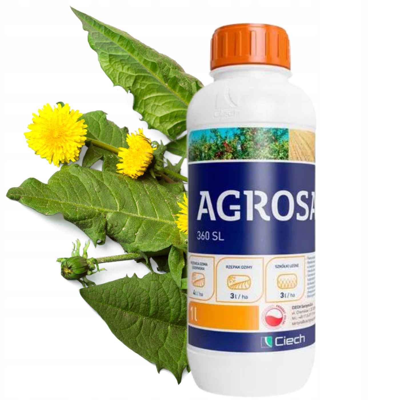 AGROSAR 360 SL ŚRODEK CHWASTOBÓJCZY NA CHWASTY oprysk glifosat 1L na