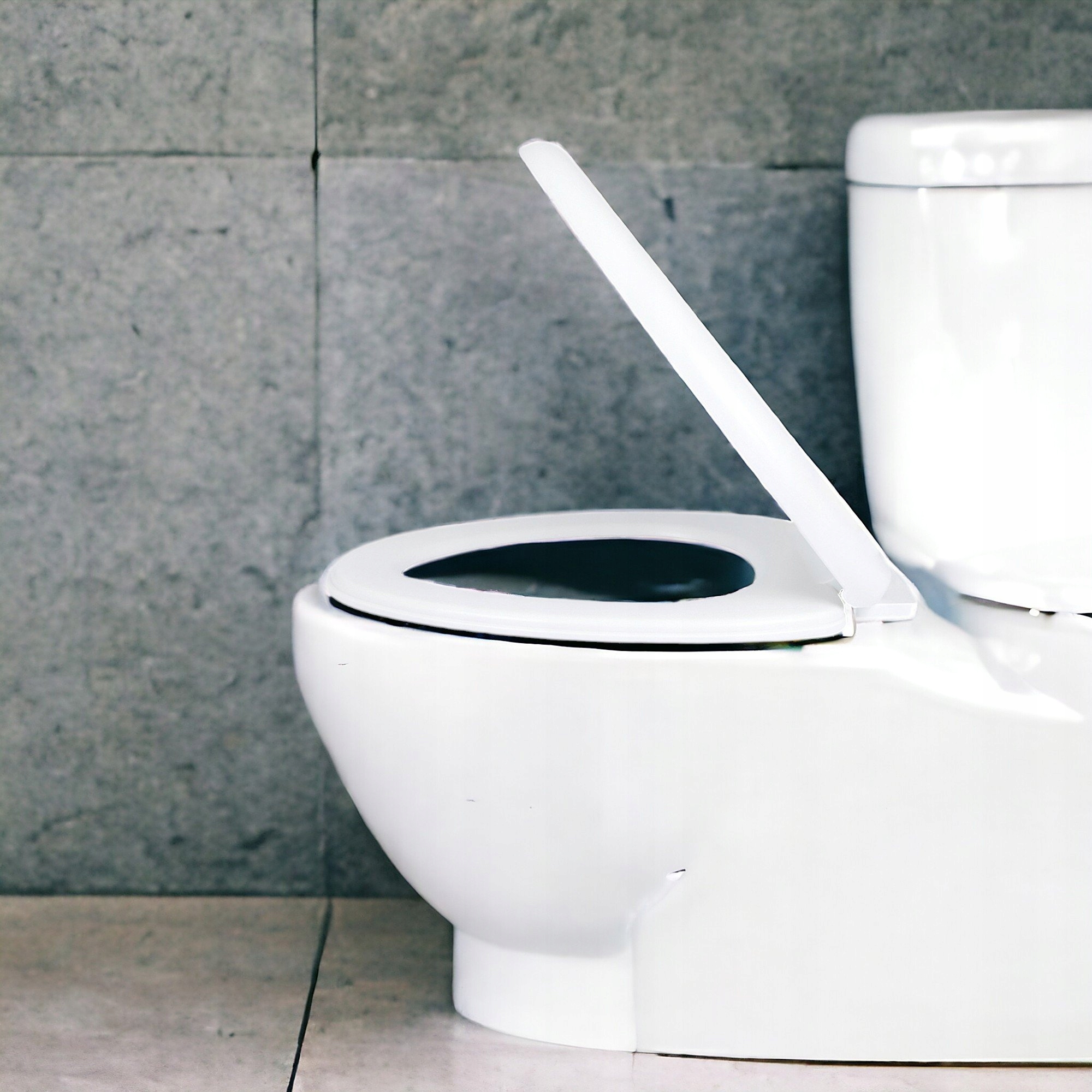 DESKA WC WOLNOOPADAJĄCA SEDESOWA KLOZETOWA Kolor chrom