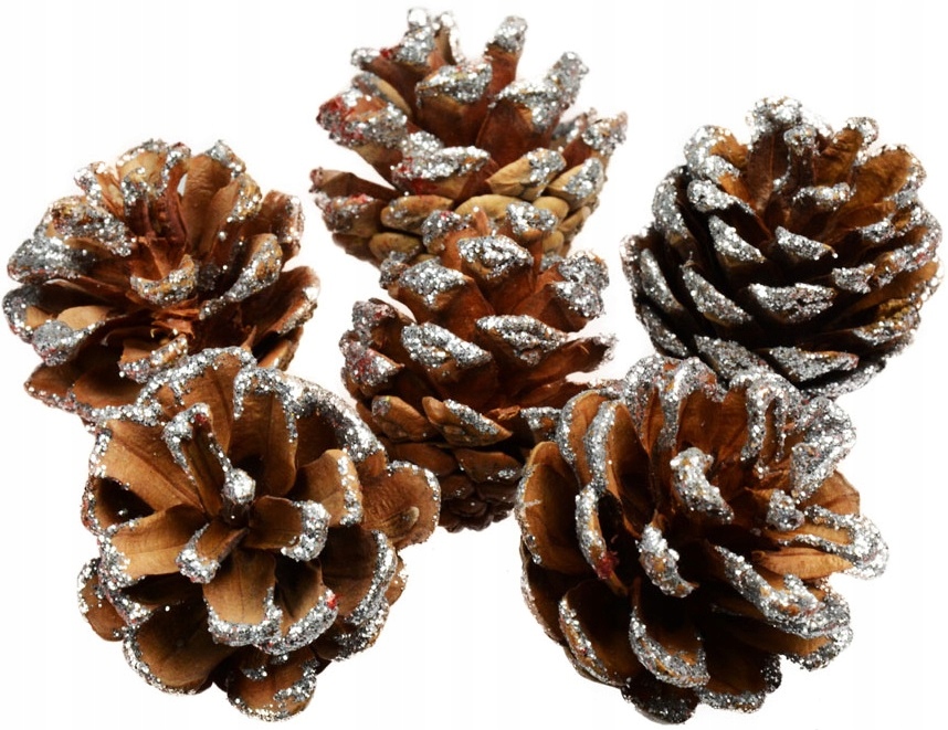 

Szyszki ze Srebrnym Brokatem na Choinkę 3,5cm 6szt