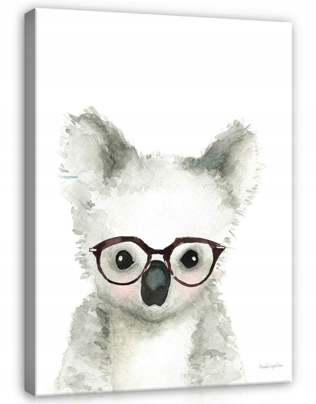 Obraz 80x120 Koala sladký akvarel brýle zvíře šedá růžová bílá