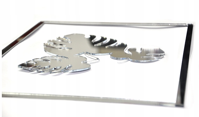 Dekor , LIŚĆ MONSTERA plexi lustro! Marka inna