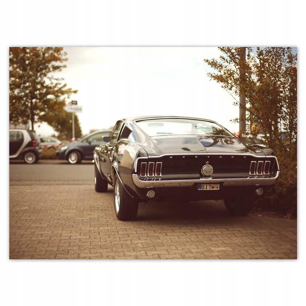 

Naklejki 135x100 Vintage Ford Mustang