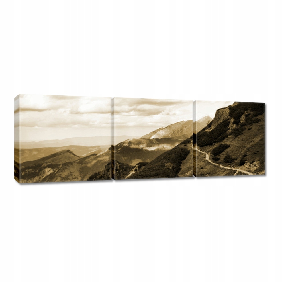 

Obrazy 60x20 Tatry Polskie góry Widok