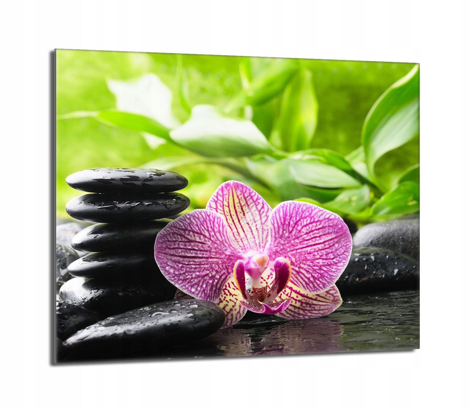 Skleněná ochranná deska na sporák 60x52 Orchidej Do Kuchyně