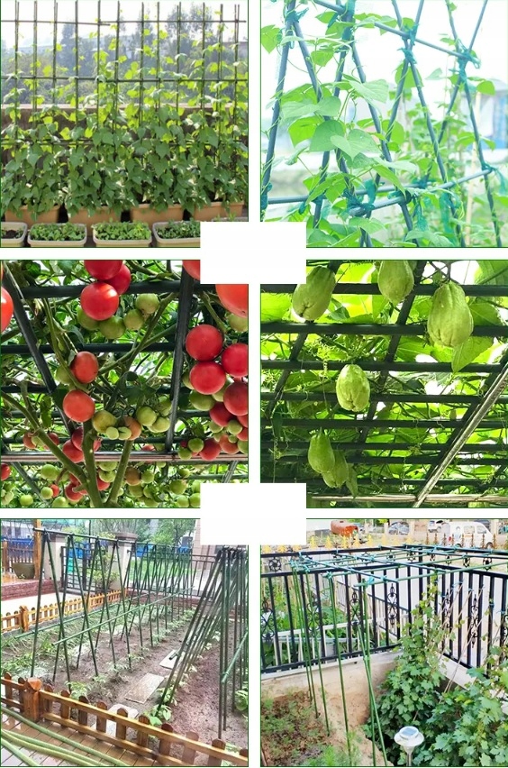 100x Tyczka PODPORA palik DO roślin POMIDORÓW kwiatów STAL powlekana 120 cm Liczba sztuk w opakowaniu 1 szt.