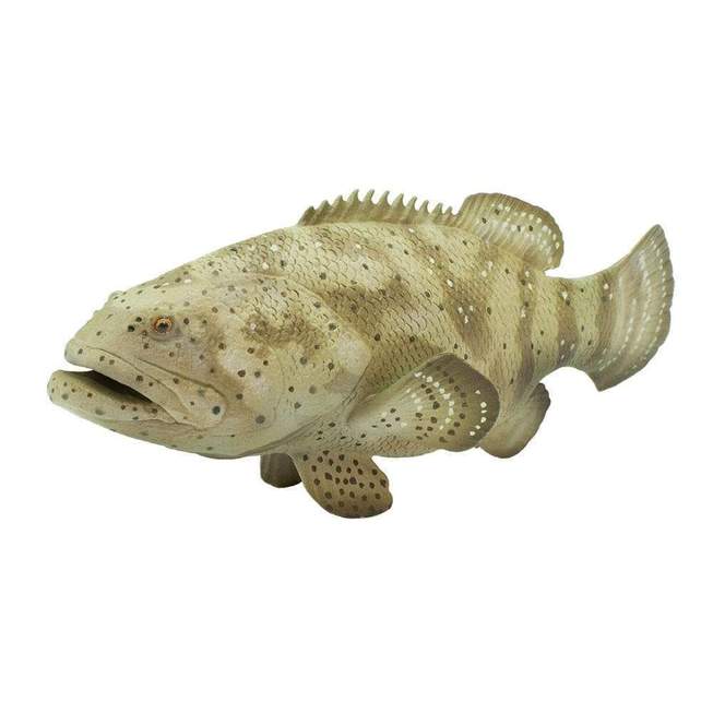 

Ryba Marynarz Goliata Safari Ltd. 265329