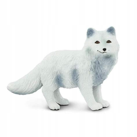 

Lis Arktyczny Arctic Fox Safari Ltd. 282329