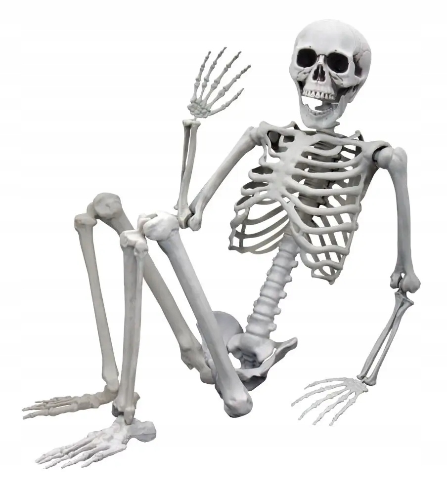 Kostra Life Size 170 CM – Temný Halloweensky Darček A Dekorácia