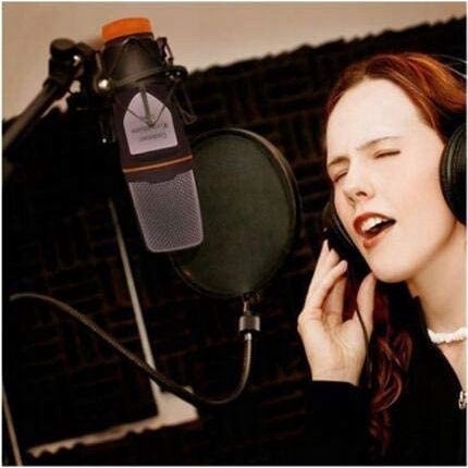 Mikrofony komputerowe, mikrofony pojemnościowe Zastosowanie studyjny