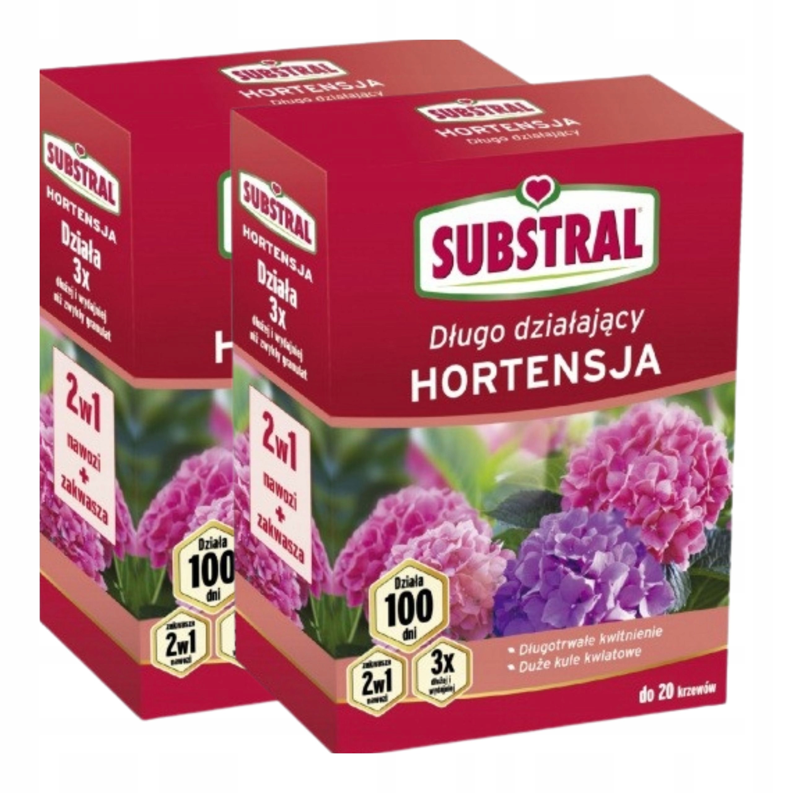 Substral Nawóz Do Hortensji 2x1 kg 100 Dni Kwitnienia Zakwaszający Wydajny