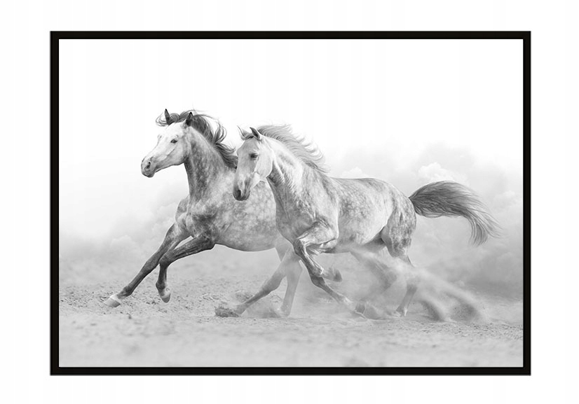 

Obraz Plakat W Ramie 43x33 cm Konie P904