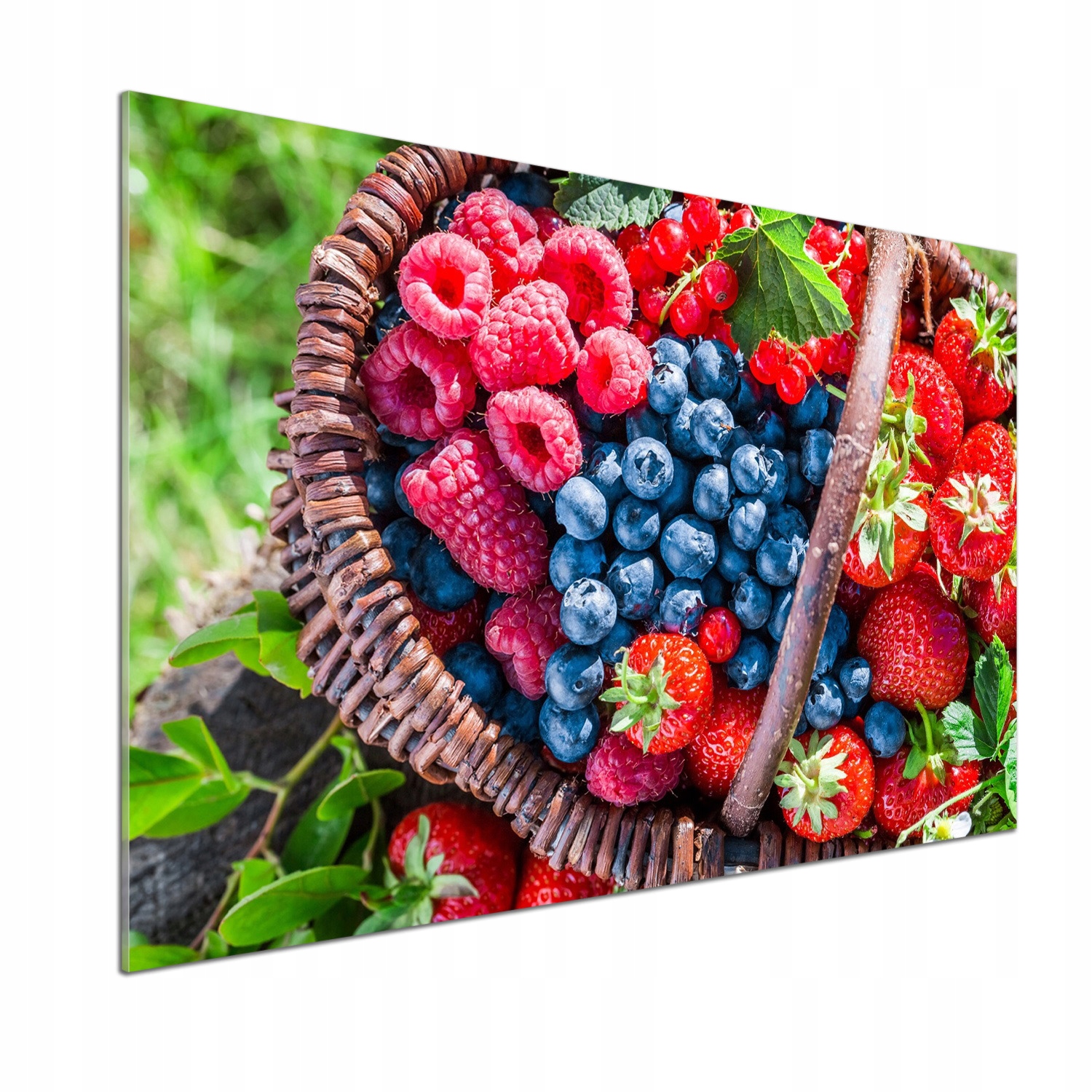 Panel lacobel Kôš na lesné ovocie 100 x 70 cm Lepidlo