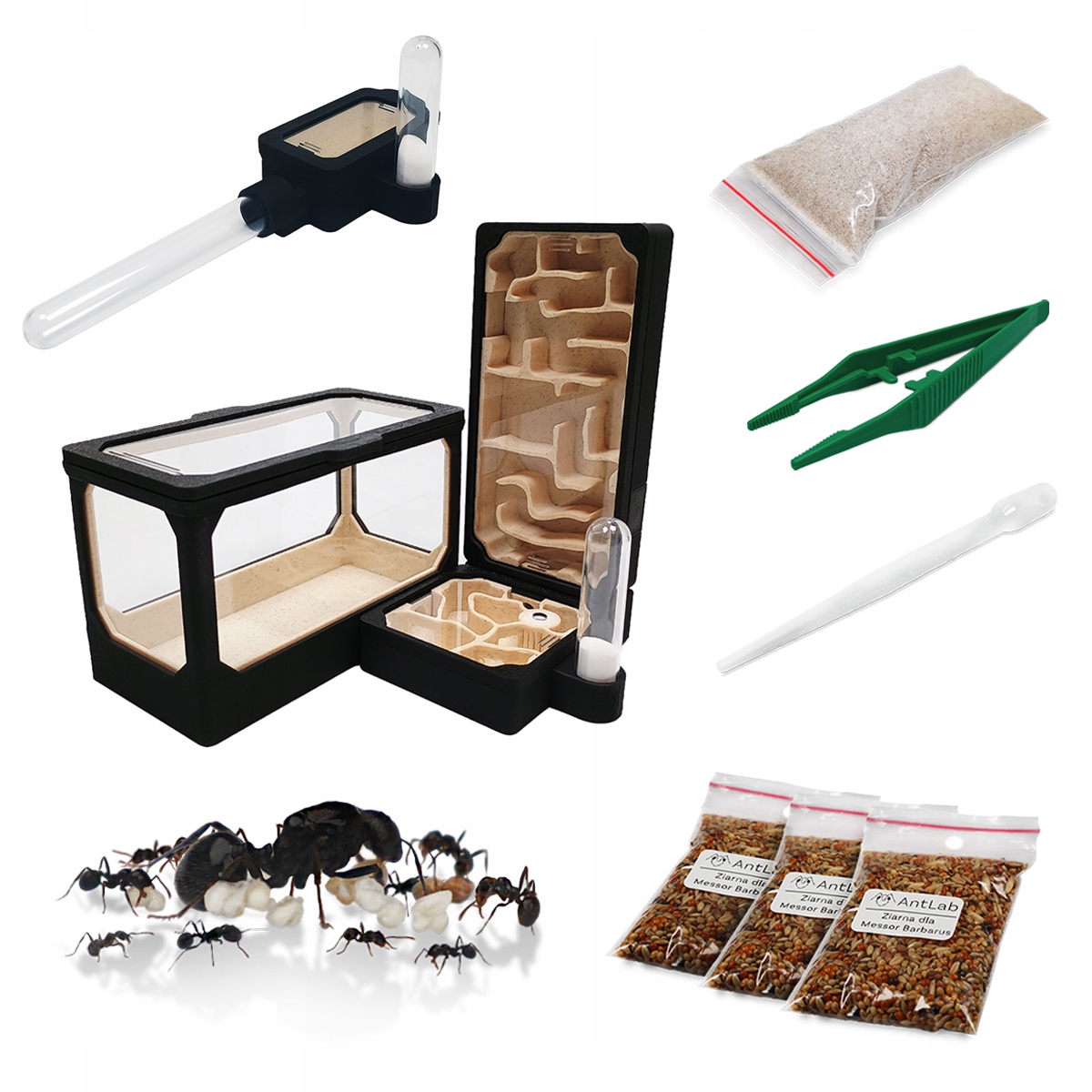 Formikarium pro začátečníky – Startovací Sada Vertical S