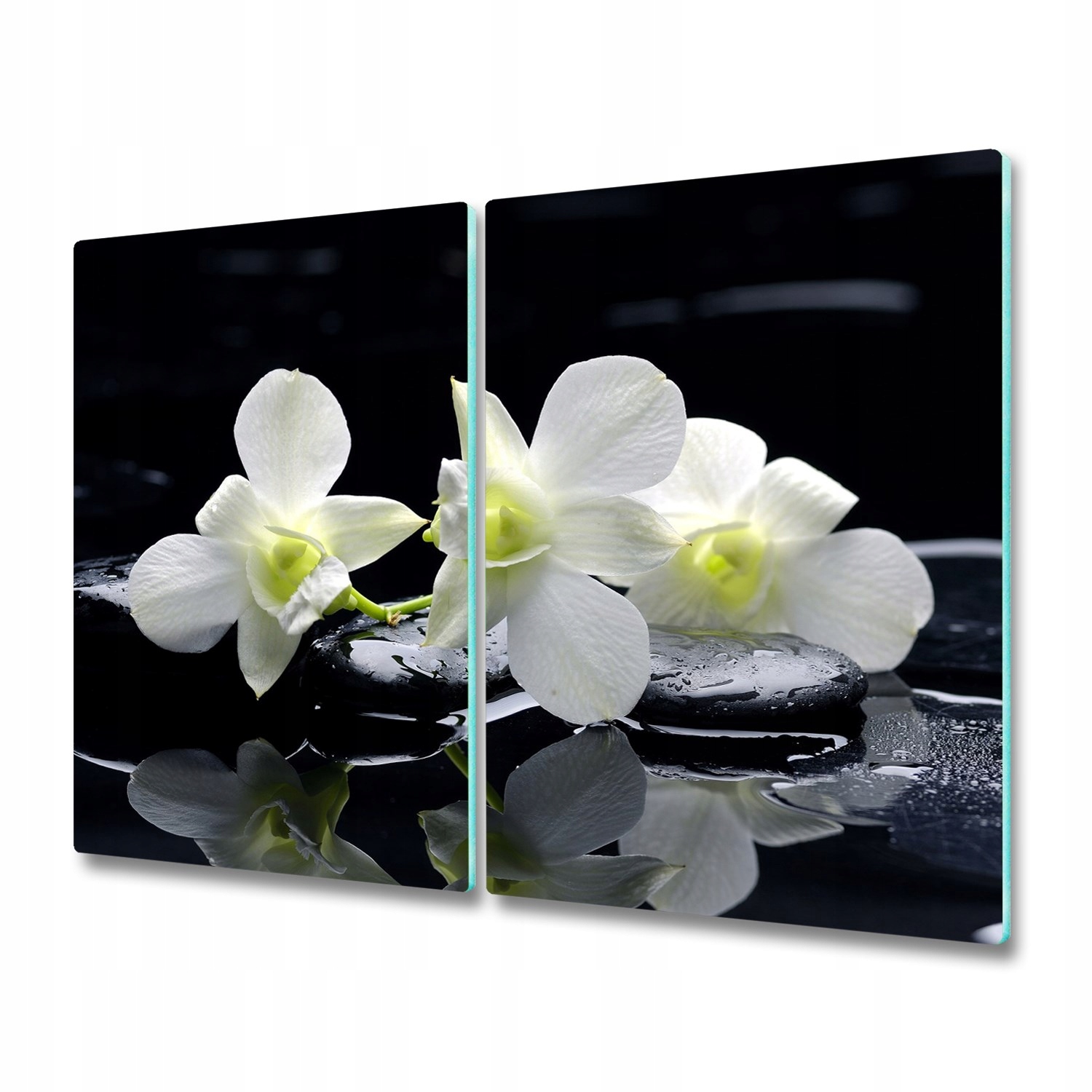 

Hartowana osłona płyty indukcyjna Orchidea 2x30x52