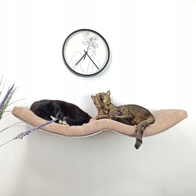 Levně Nástěnná police pro kočky, závěsná, Dvojitý Oblouk 100 cm SH-M-DA100