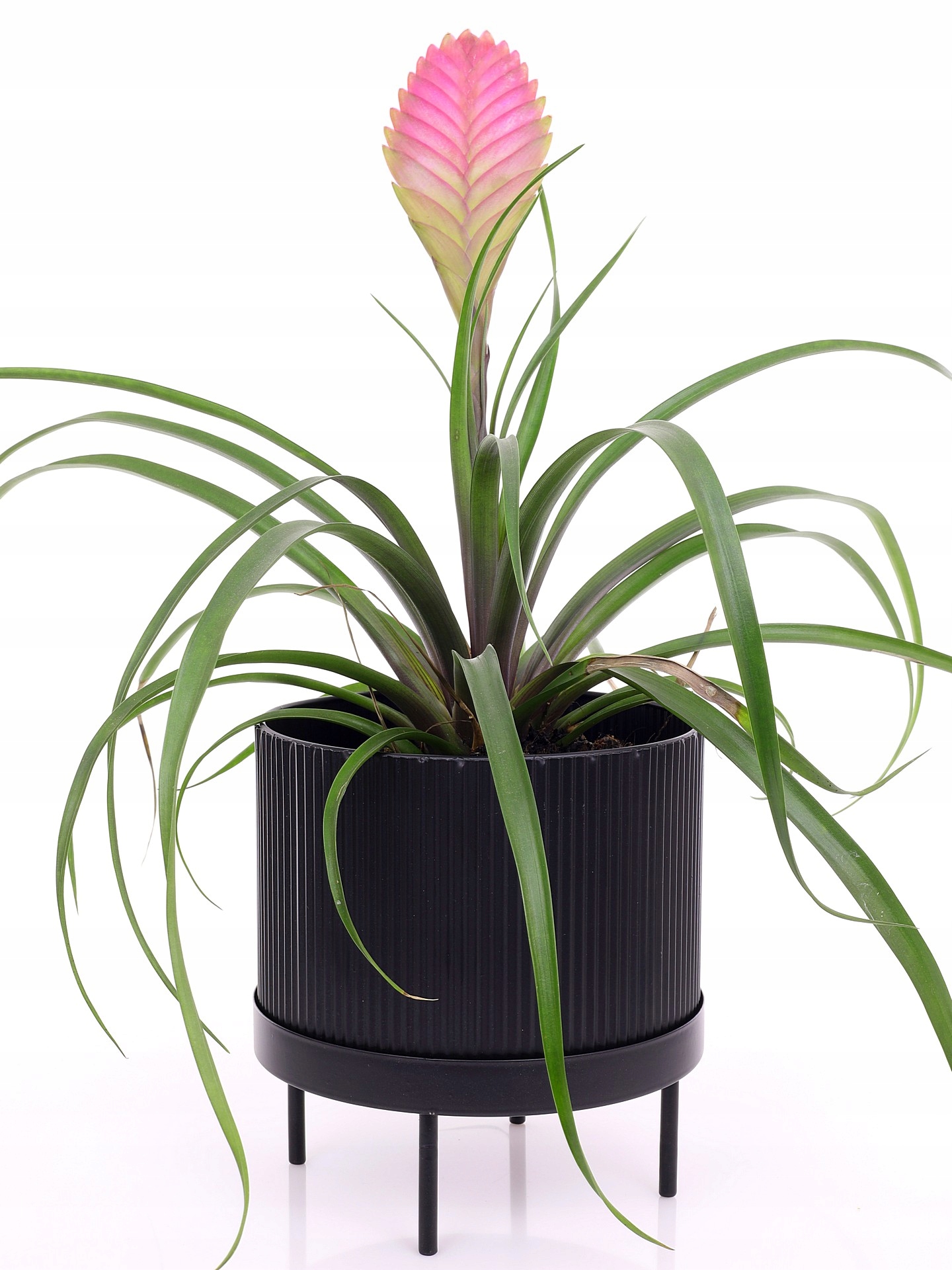 

Stojak z osłonką Loft Czarny Mat kwietnik 23 cm