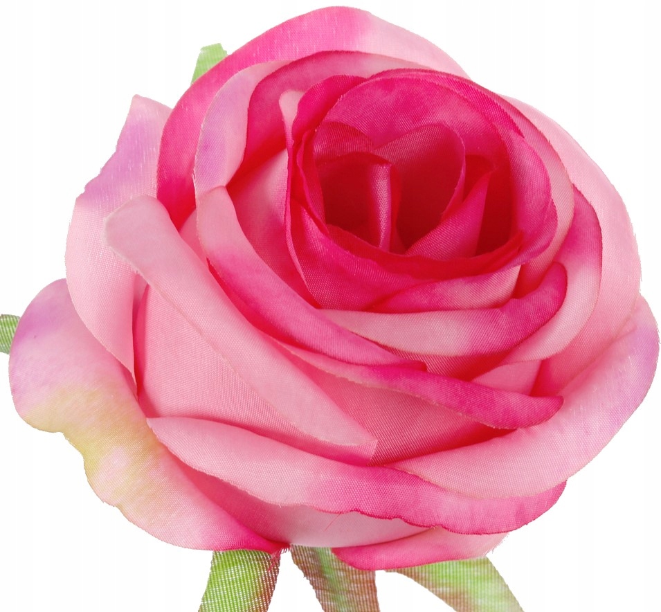 

Róża piękna główka kwiatowa W705-13