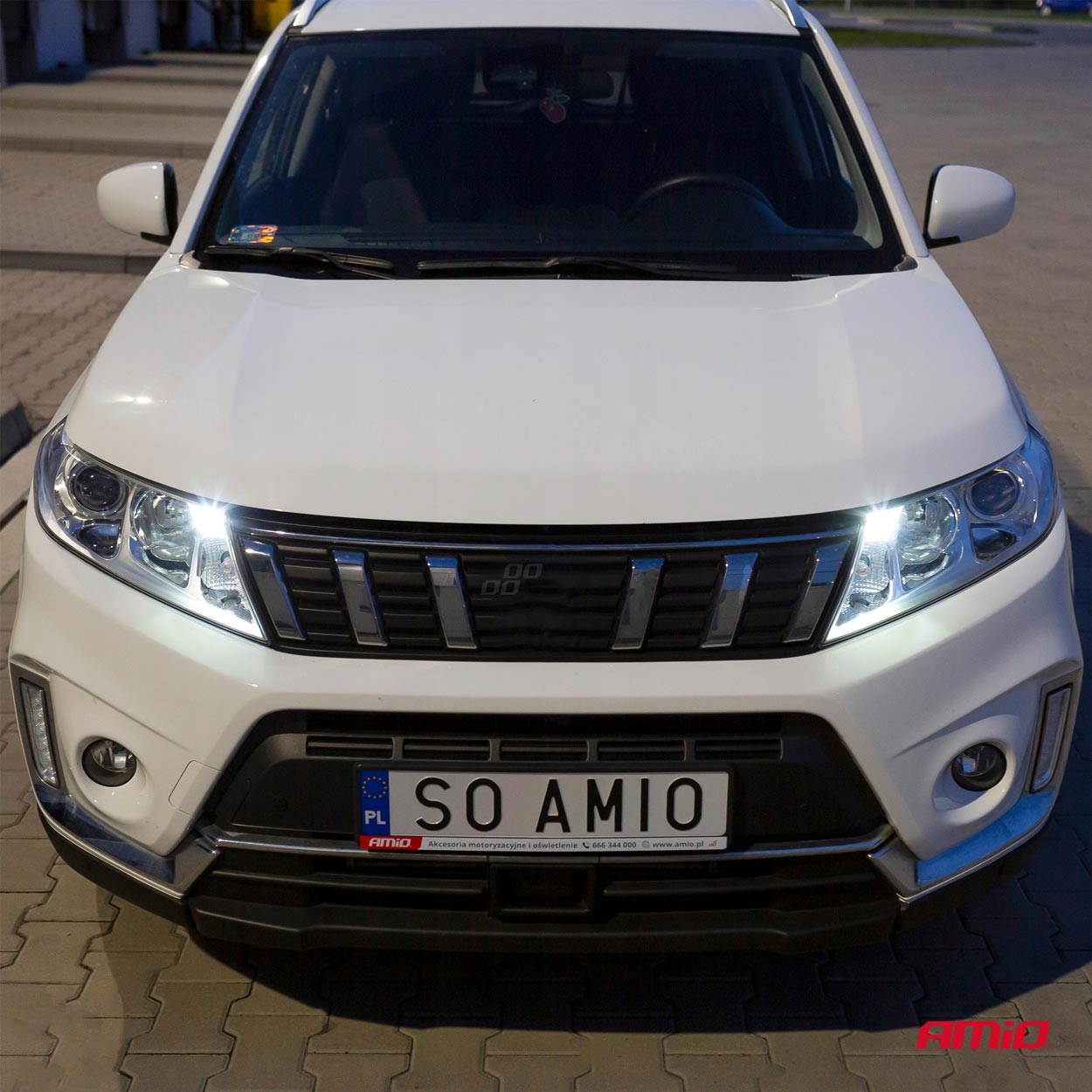 LED CANBUS 21SMD T10 W5W ŻARÓWKI 12V 24V SMD AMiO Rodzaj LED