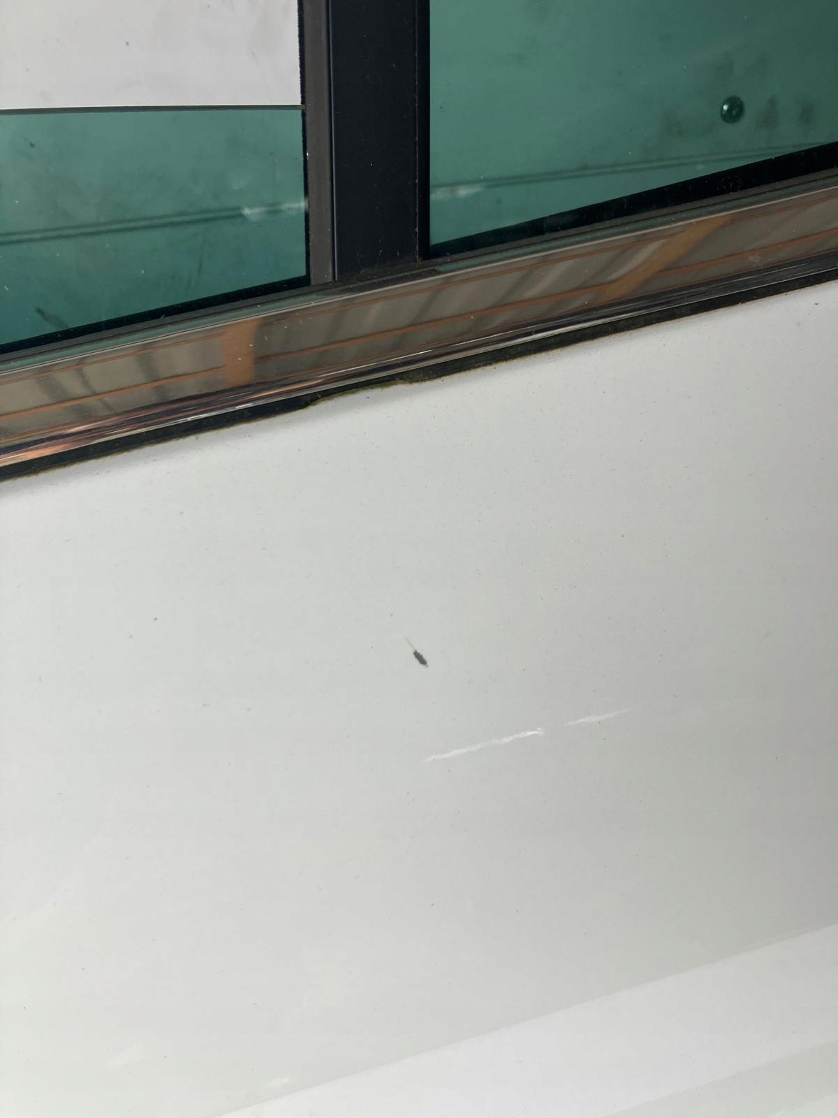 door left rear part FORD B MAX DC