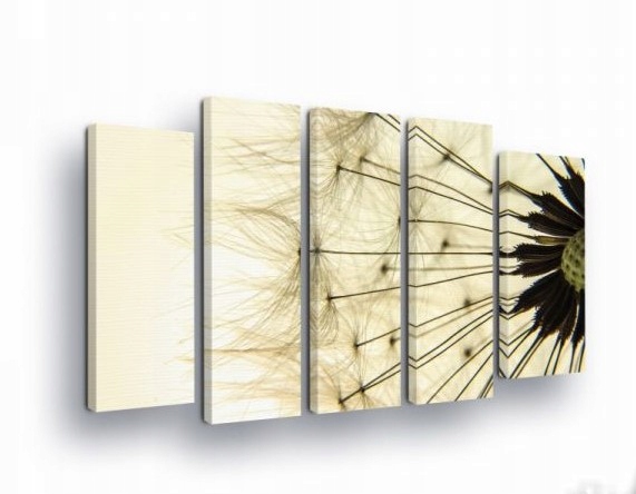 Obraz 150x100 Pampeliška lékařská peří semena lehkost příroda makro detail
