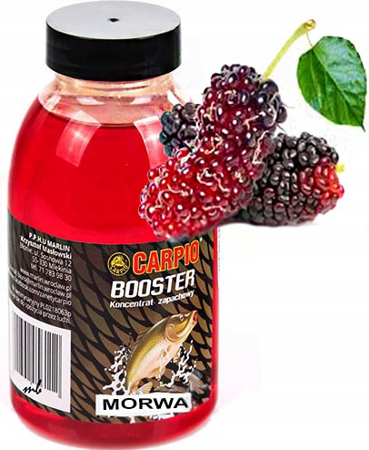 Booster Dopalacz Carpio Morwa Dip 250 ml WrocłaW