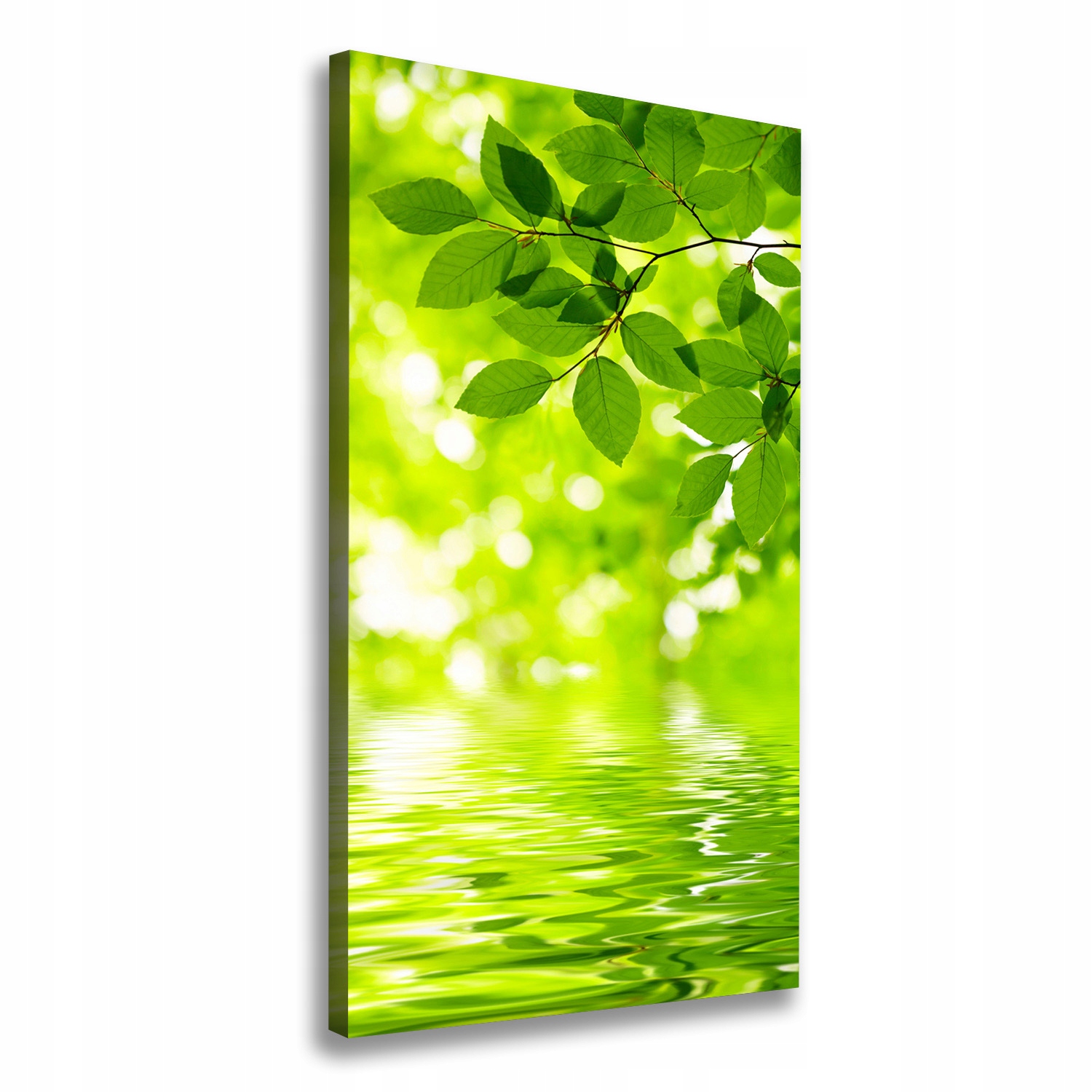

Foto obraz na płótnie Zielone liście 60x120 cm