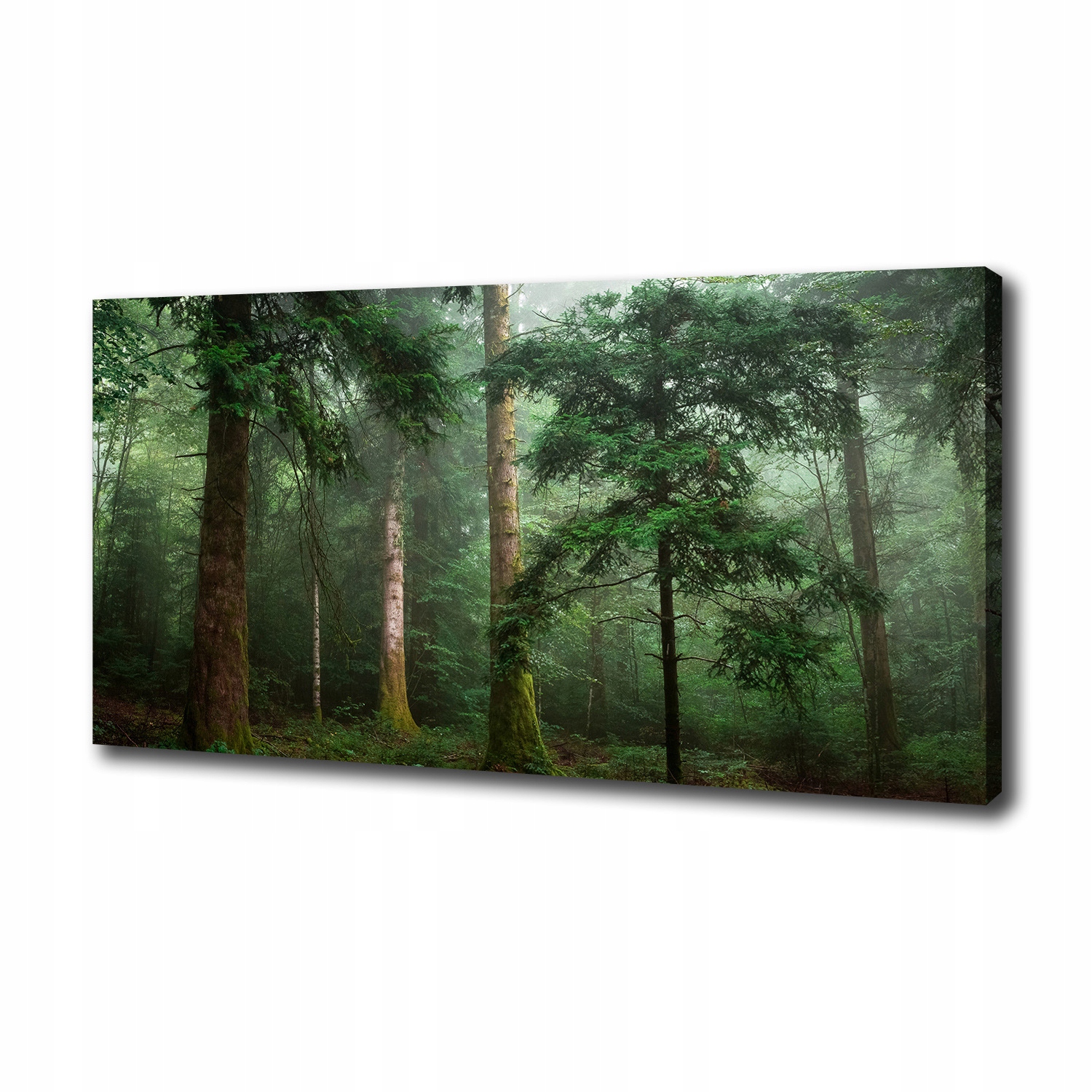

Duży foto obraz na płótnie Mgła w lesie 100x50 cm