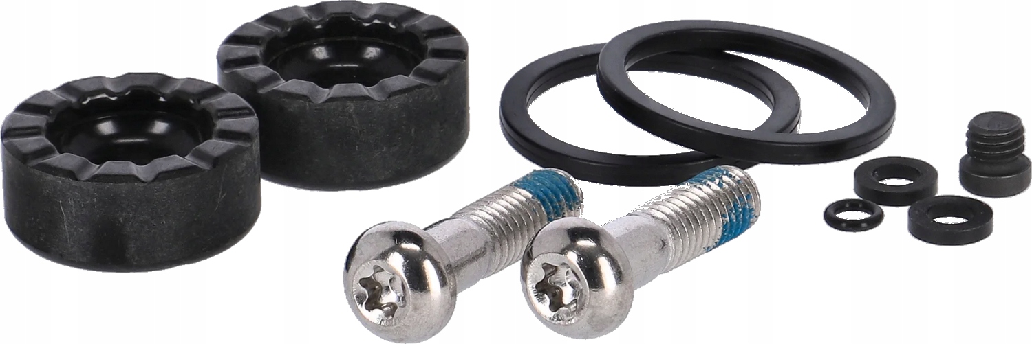 Sram zestaw naprawczy do zacisku Rival Axs D1