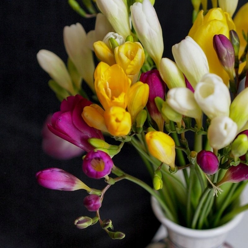 Zapach do świec sojowych wosku olejek zapachowy 10ml FREZJA Pojemność 10 ml