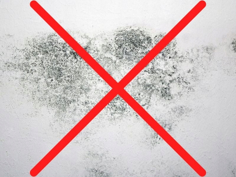 Aktywna paroizolacja folia Intello Plus 75m² Marka Pro clima