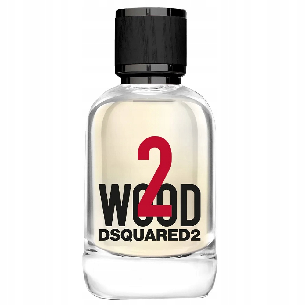 Toaletní voda Spray 2 Wood 100 ml Dsquared2 Smyslná vůně pro muže