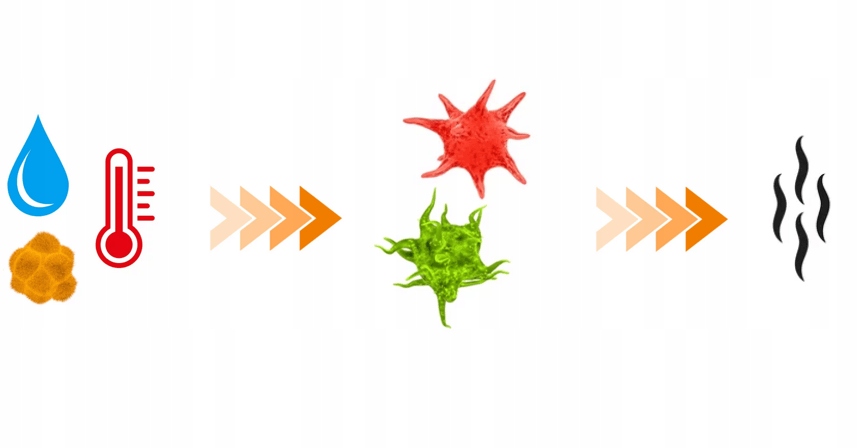 ODŚWIEŻACZ OSUSZACZ DO RĘKAWIC BOKSERSKICH DBX BUSHIDO | ZADBAJ O SPRZĘT EAN (GTIN) 5904639192103