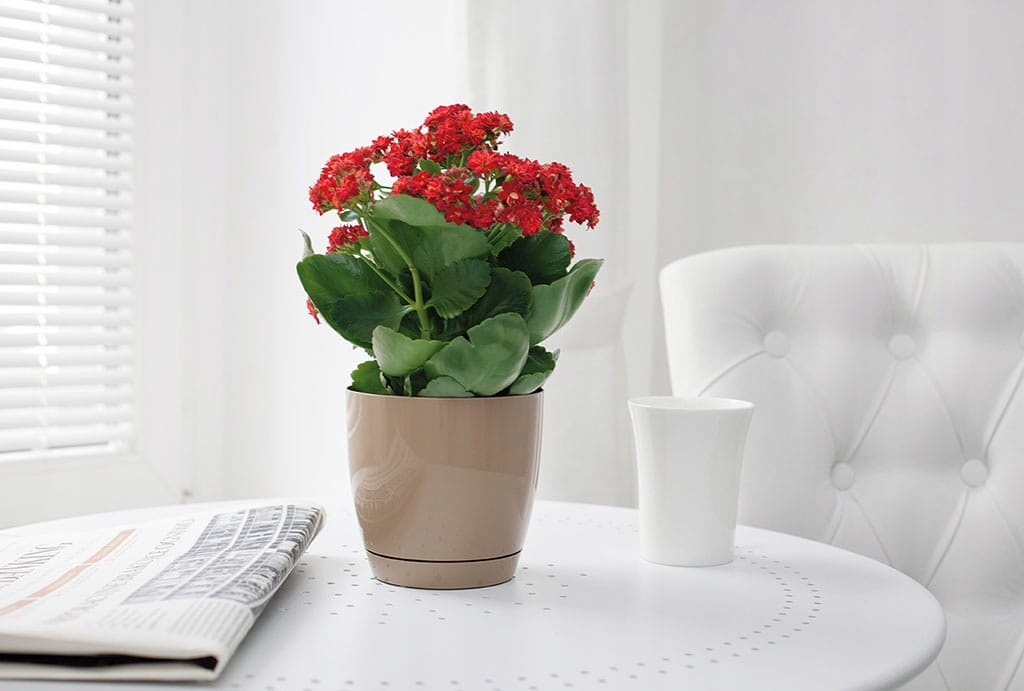 Doniczka Toscana okrągła 19 z podstawkiem Beton EAN (GTIN) 5907474353302