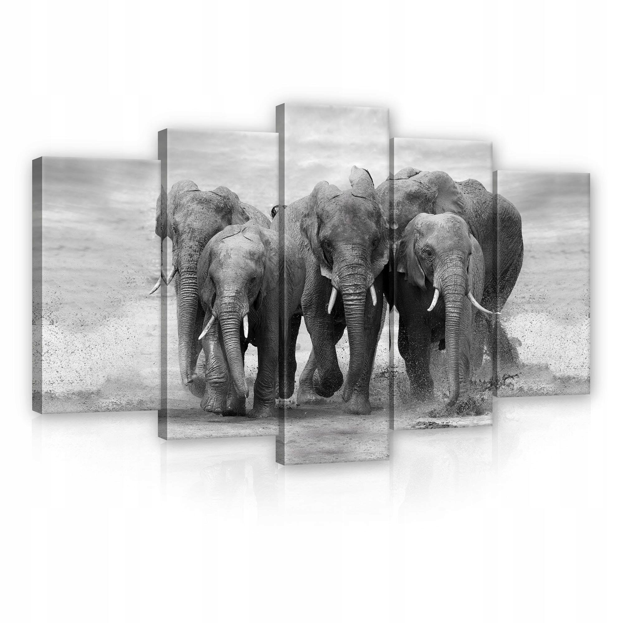 Obraz 100x60 Sloni stádo pohyb voda síla Afrika příroda divoká příroda