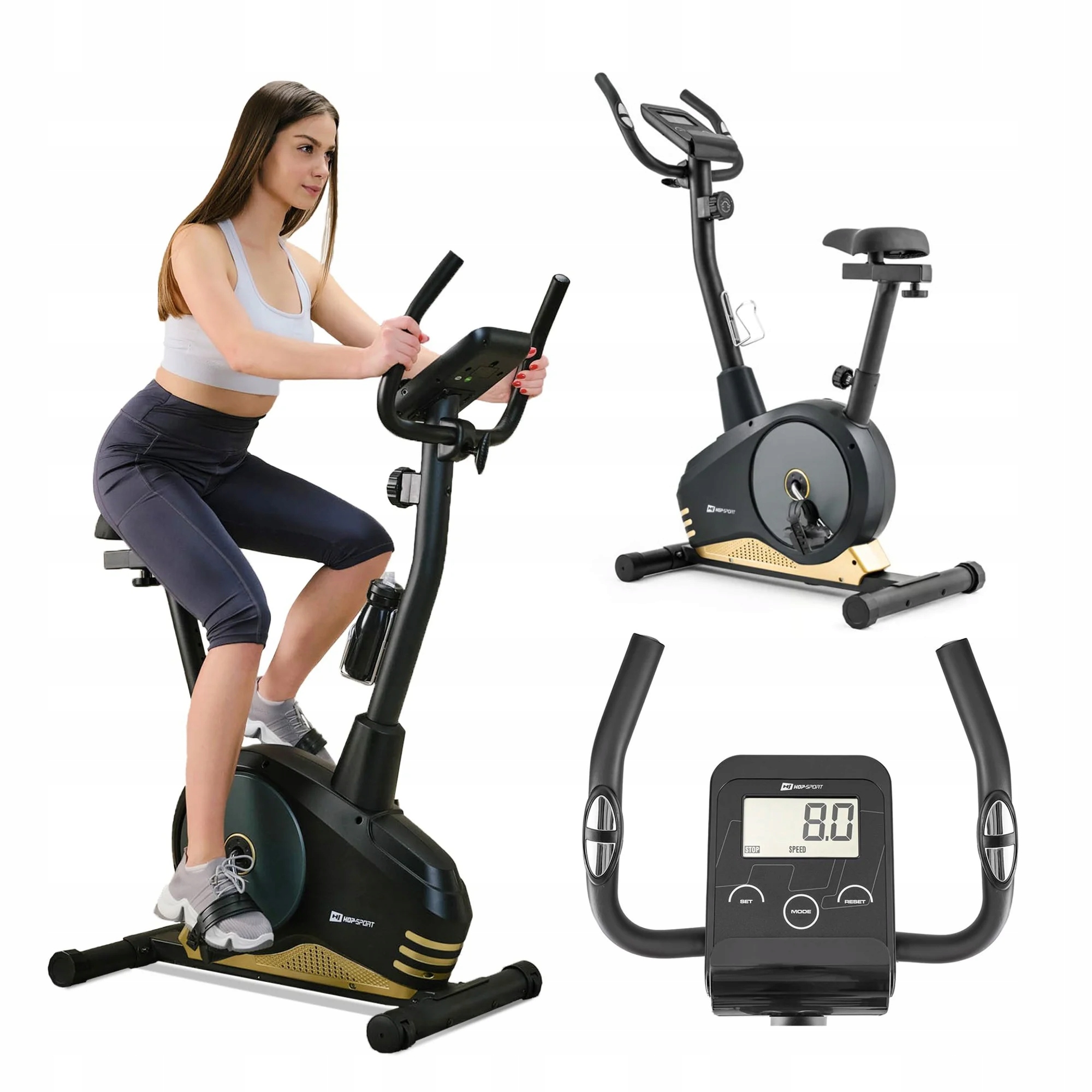 Rower Stacjonarny Magnetyczny do Ćwiczeń Rowerek Treningowy Koło 9kg