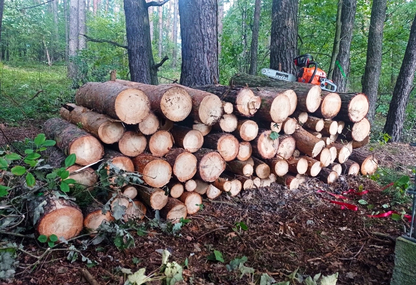 PIŁA SPALINOWA PILARKA ŁAŃCUCHOWA MOCNA ZESTAW XXL Moc silnika 5.7 KM