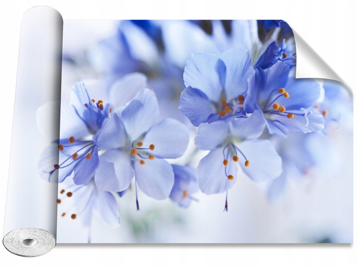 

Tapeta Samoprzylepna Niebieskie kwiaty - 208x146