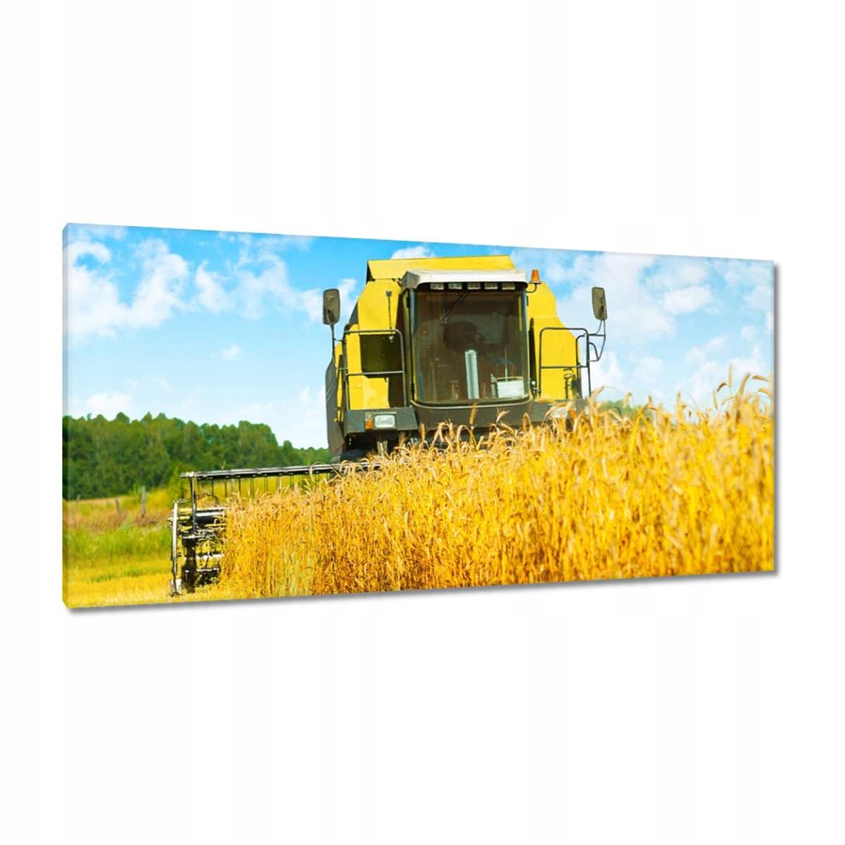 Obrazy 115x55 Kombajn na sekání obilí