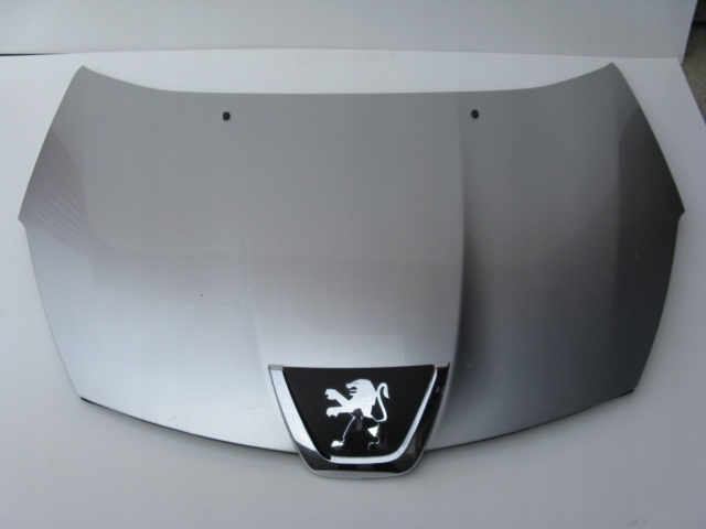 bonnet front PEUGEOT 4007 A31